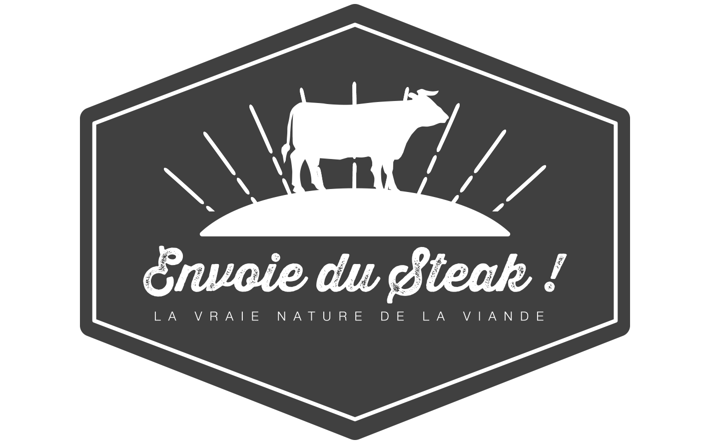 Création de marque pour Envoie du steak